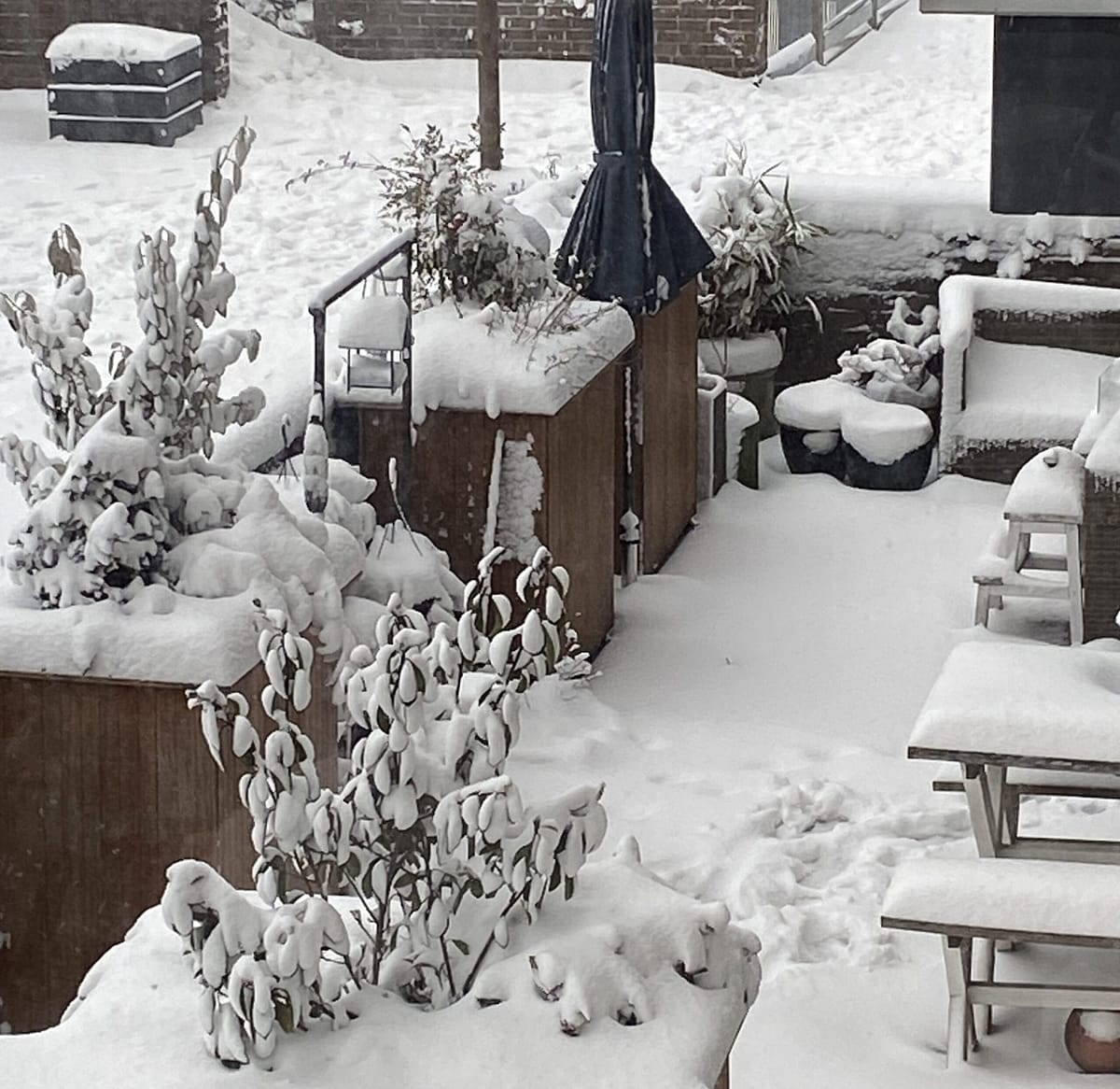 Het sneeuwt! ~ @iPIXtitude.com