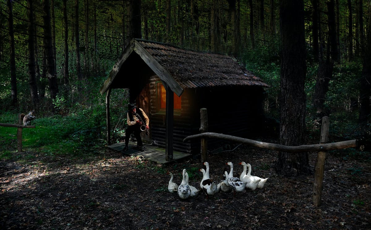 brood of goose beside brown house